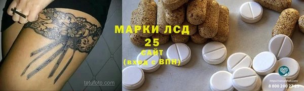 ГАЛЛЮЦИНОГЕННЫЕ ГРИБЫ Надым