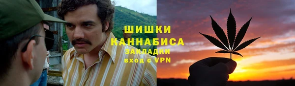 ГАЛЛЮЦИНОГЕННЫЕ ГРИБЫ Надым